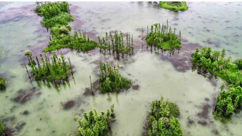 Phongsavanh Bank Ltd Environmental Crimes